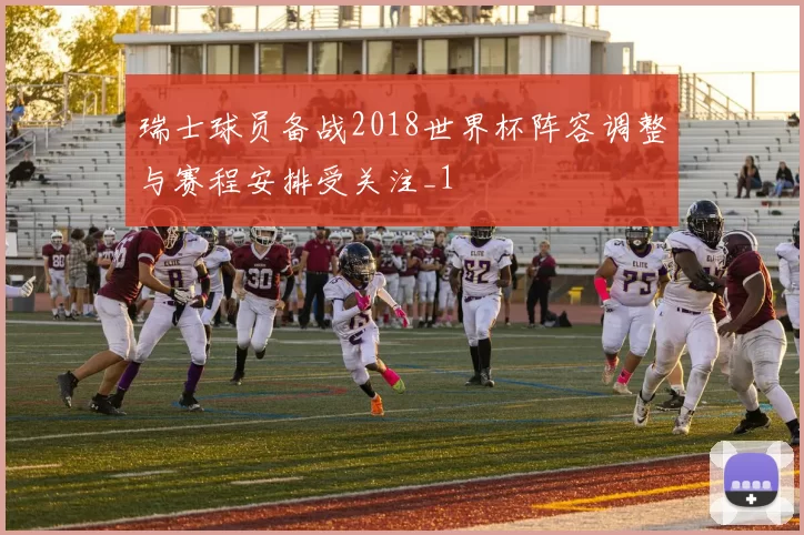 瑞士球员备战2018世界杯阵容调整与赛程安排受关注_1