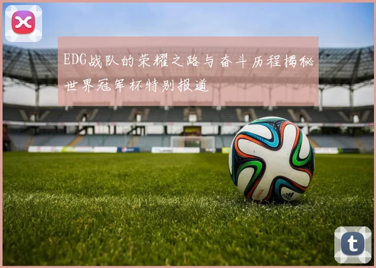 EDG战队的荣耀之路与奋斗历程揭秘世界冠军杯特别报道