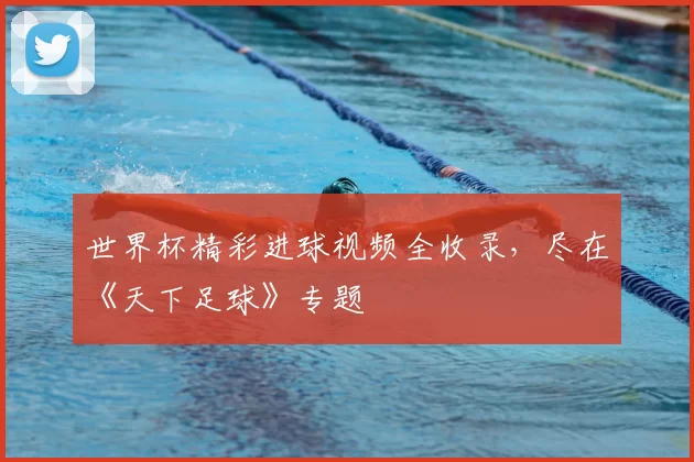世界杯精彩进球视频全收录，尽在《天下足球》专题