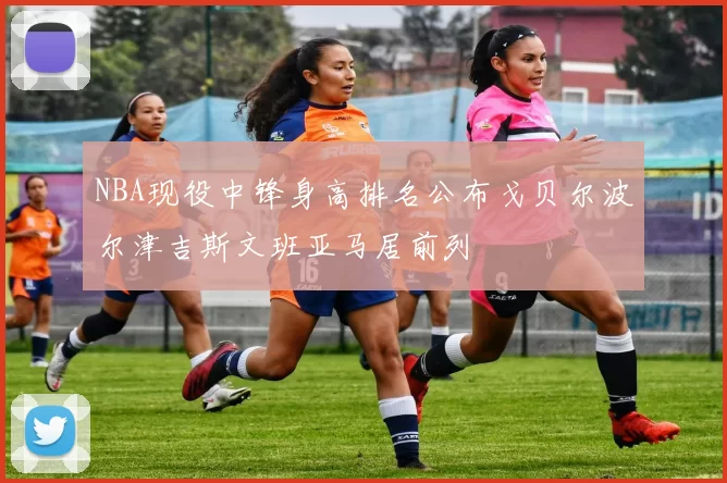 NBA现役中锋身高排名公布戈贝尔波尔津吉斯文班亚马居前列
