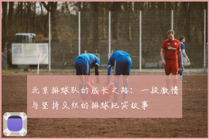 北京排球队的成长之路:一段激情与坚持交织的排球纪实故事